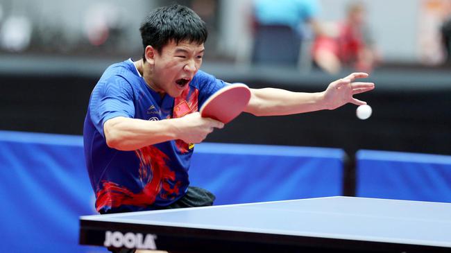 庭运动和活 庭运动和活