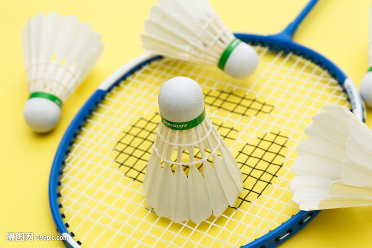 参与确保了 参与确保了